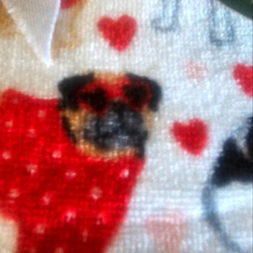 2 PC Dogs & Hearts Valentines Day Bath Hand Towels New